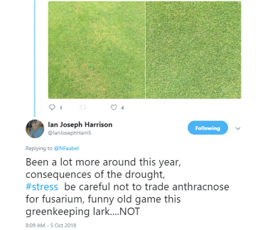 ian harrison tweet