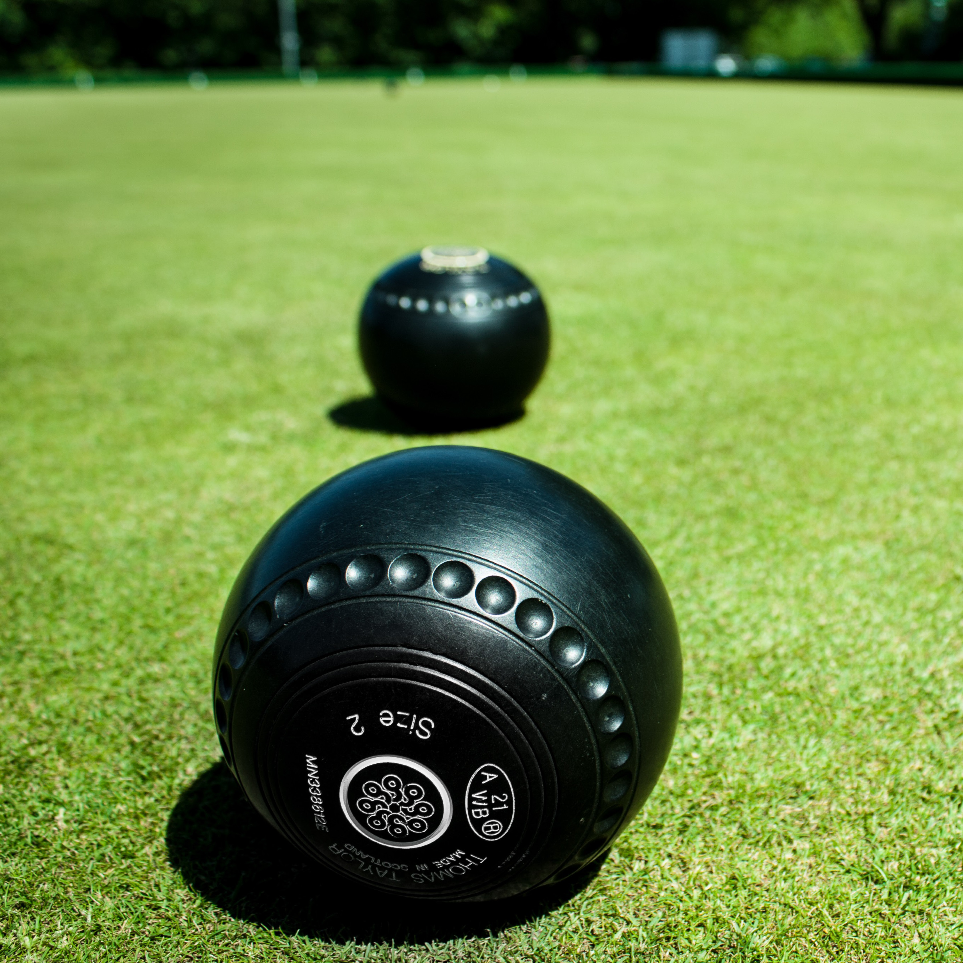 bowls on a green