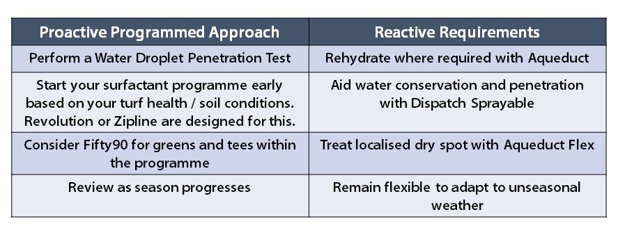 turf action plan table