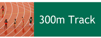 300m