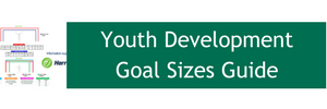 Youth Development Goal Sizes