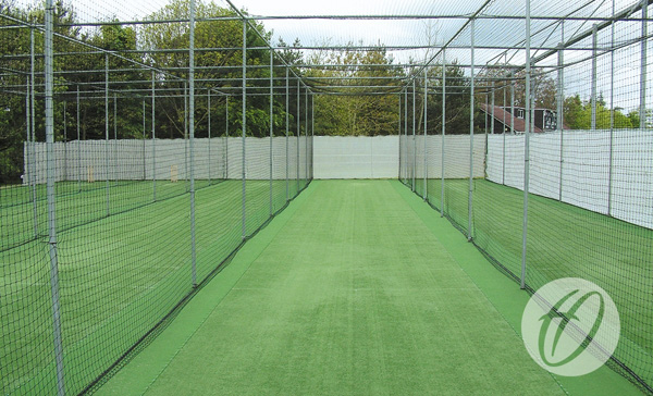 Portable Cricket Cage