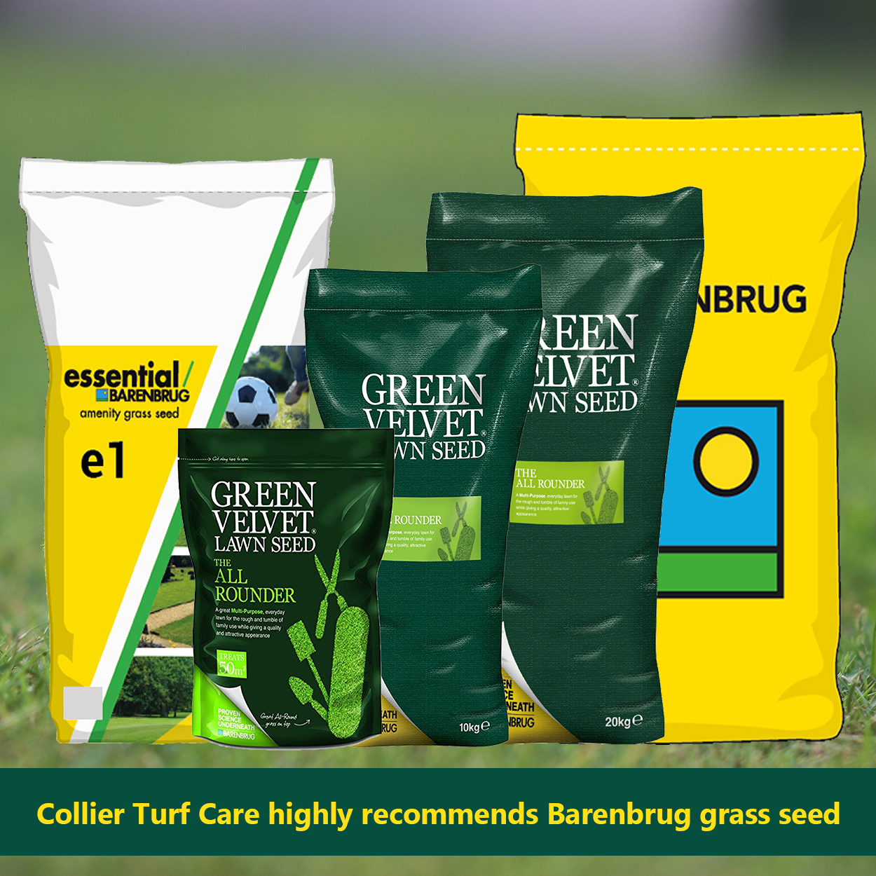 Barenbrug Grass Seed