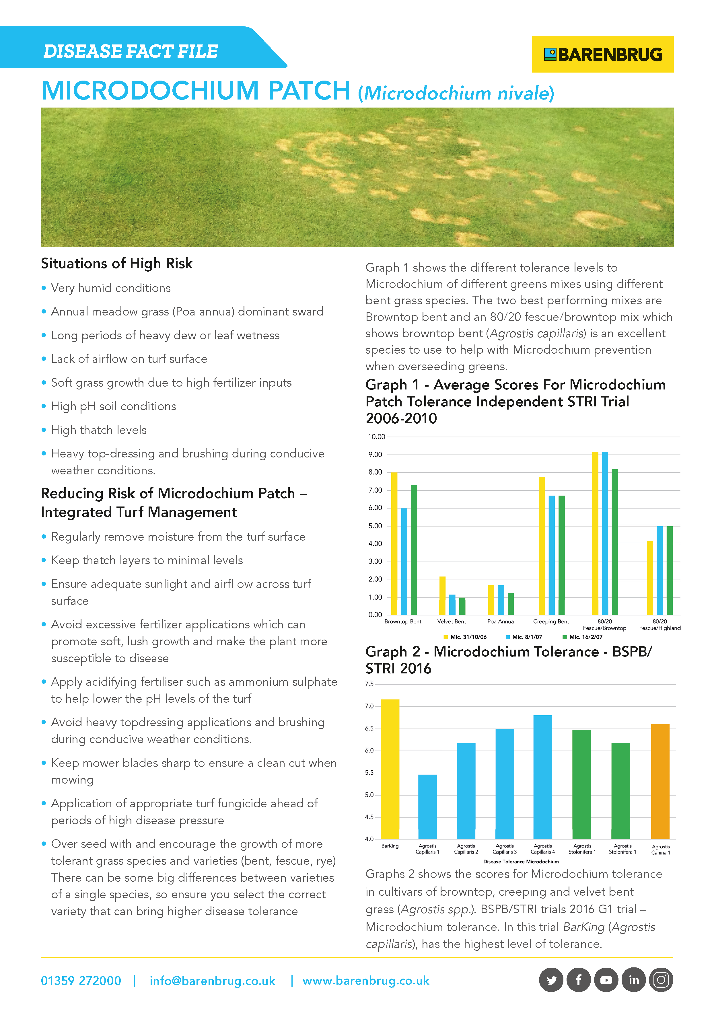 Microdochium Patch Disease Fact File 2