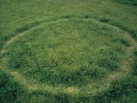 Fairy Rings