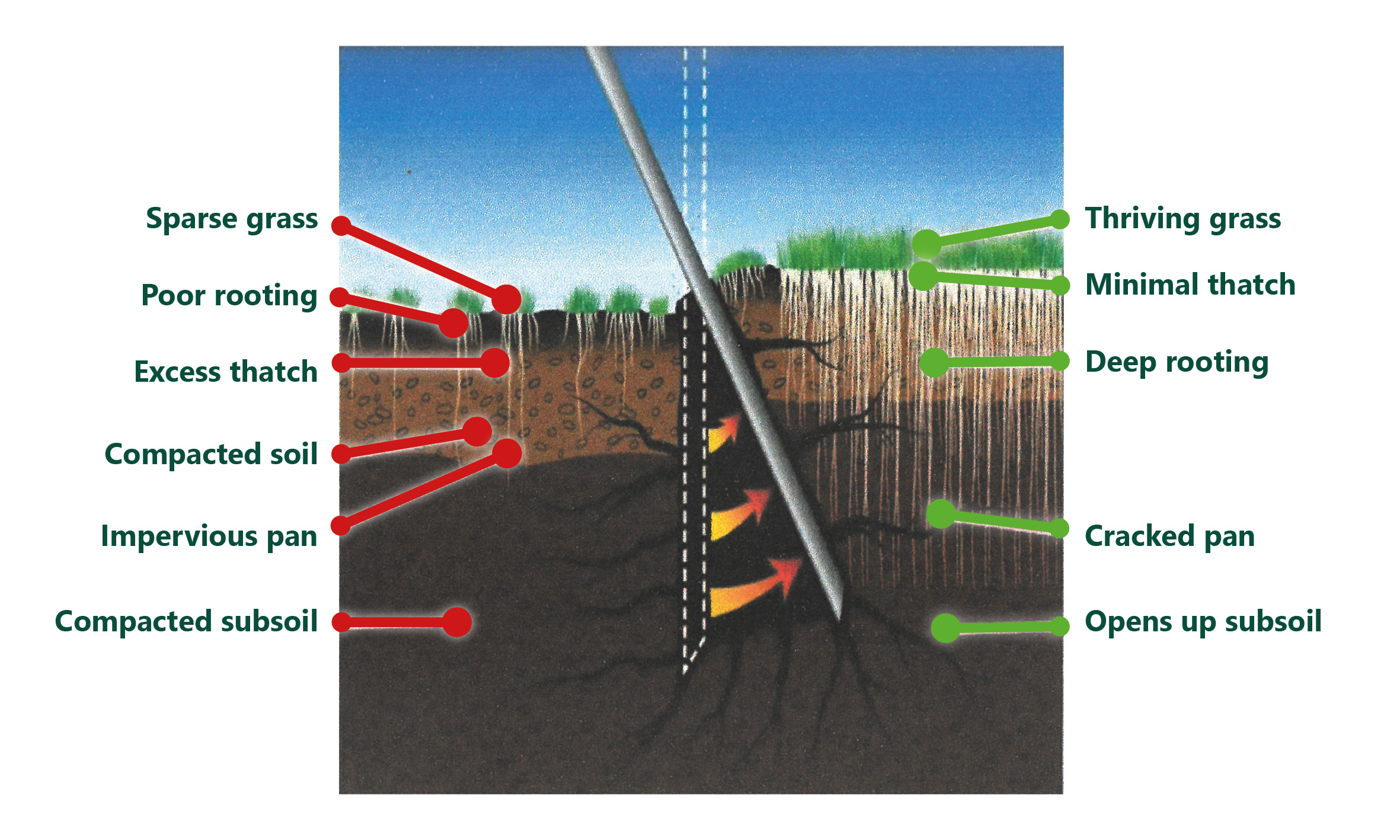 Fine Turf Aeration