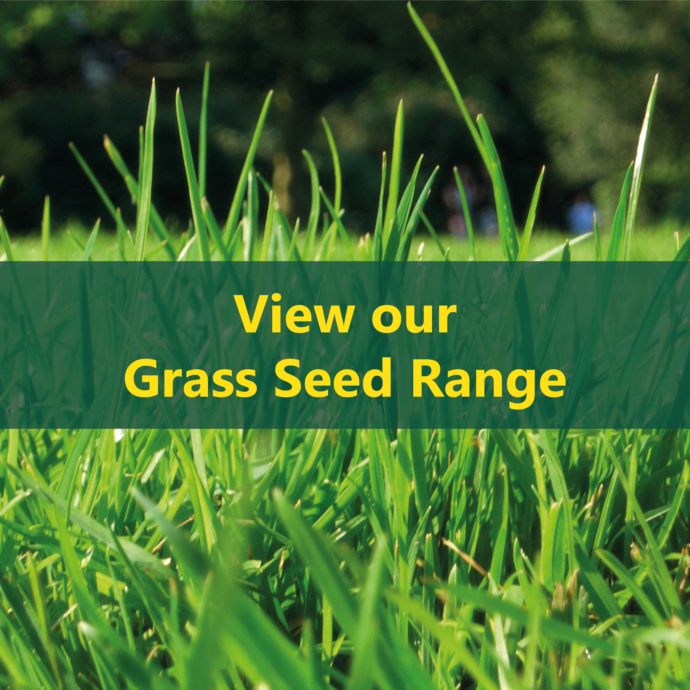 grass seed range