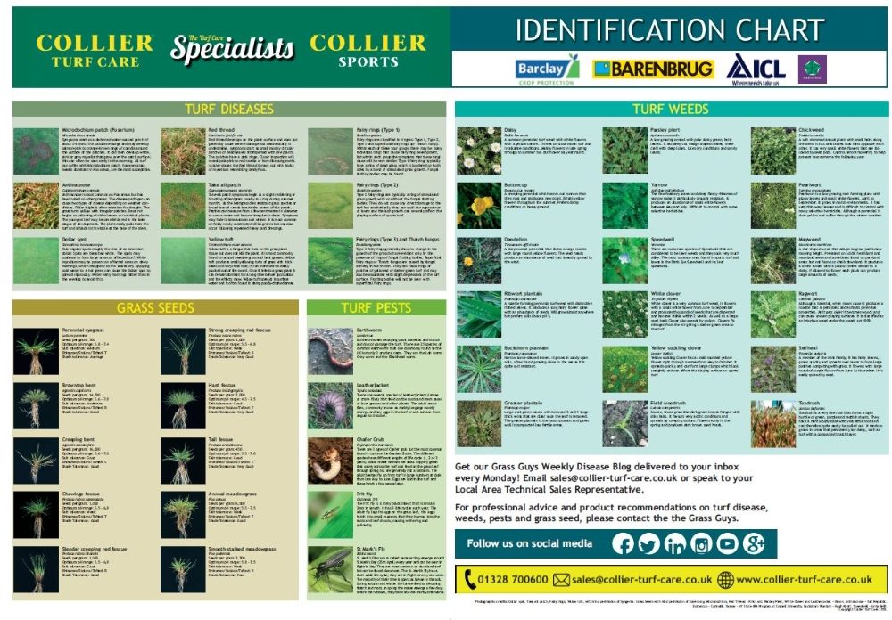 Grass Identification Chart